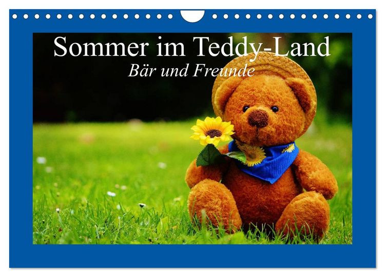 Produktbild: Sommer im Teddy-Land. B&auml;r und Freunde (Wandkalender 2026 DIN A4 quer), CALVENDO Monatskalender