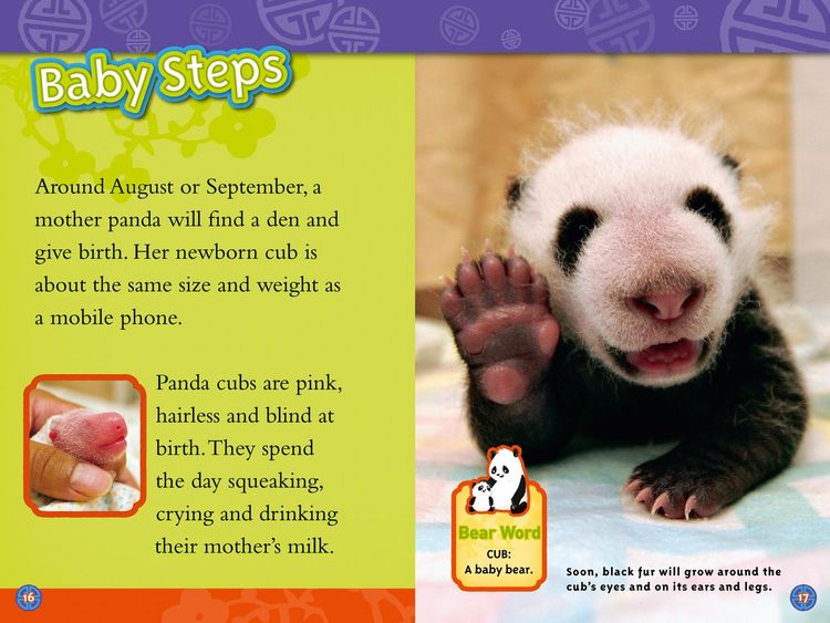 Produktbild: Pandas