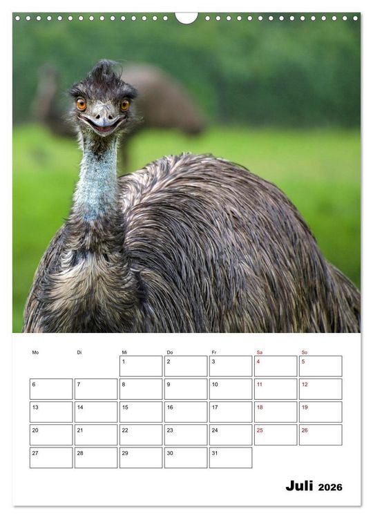 Produktbild: Australiens faszinierende Tierwelt (Wandkalender 2026 DIN A3 hoch), CALVENDO Monatskalender