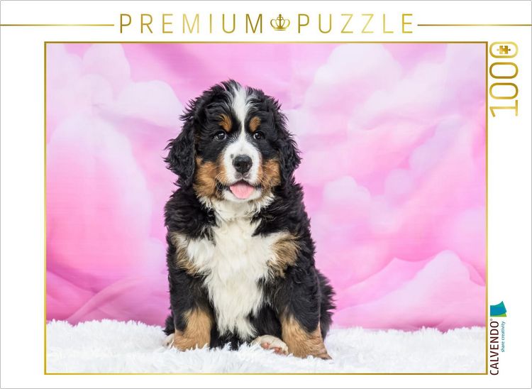 Produktbild: CALVENDO Puzzle Berner Sennenhund Baby | 1000 Teile Lege-Gr&ouml;&szlig;e 64x48cm Foto-Puzzle f&uuml;r gl&uuml;ckliche Stunden