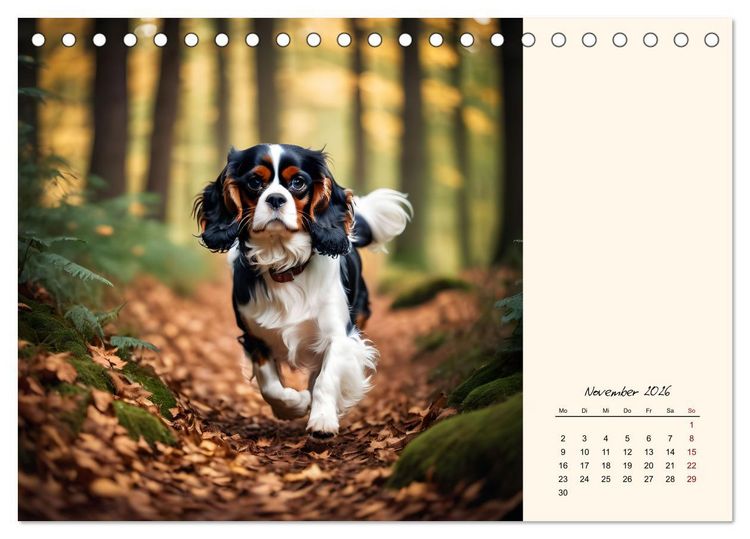 Produktbild: Goldige Kavalier King Charles Spaniels (Tischkalender 2026 DIN A5 quer), CALVENDO Monatskalender