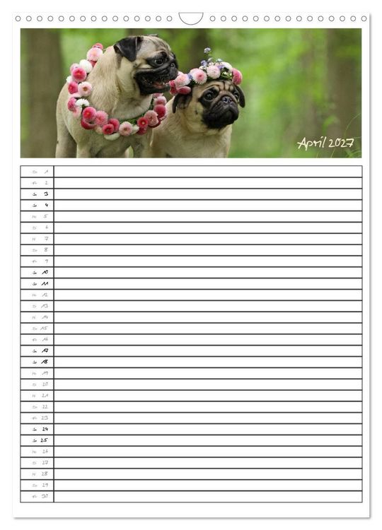 Produktbild: Der mopsige Familienplaner (Wandkalender 2027 DIN A3 hoch), CALVENDO Monatskalender