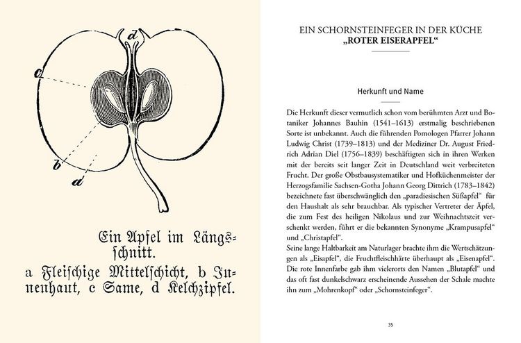 Produktbild: Das gro&szlig;e kleine Buch: Alte Obstsorten in der K&uuml;che