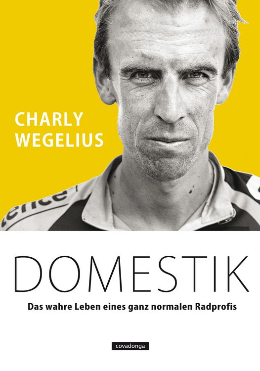 Produktbild: Domestik