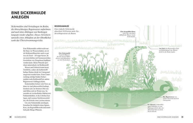 Produktbild: Klimafreundlich g&auml;rtnern