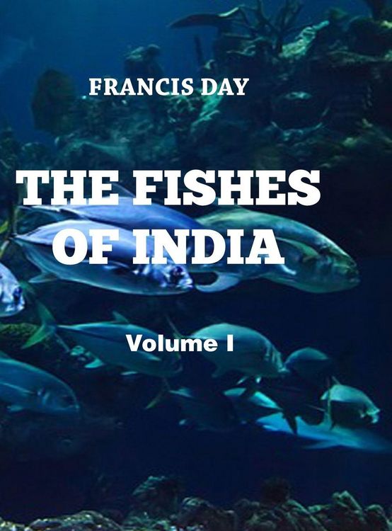 Produktbild: The Fishes of India (Vol I)