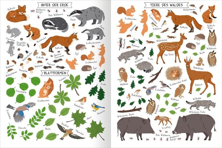 Produktbild: Naturforscher-Kids &ndash; Stickerheft B&auml;ume