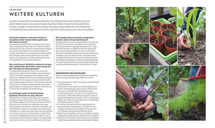 Produktbild: Kleiner Garten - gro&szlig;e Ernte