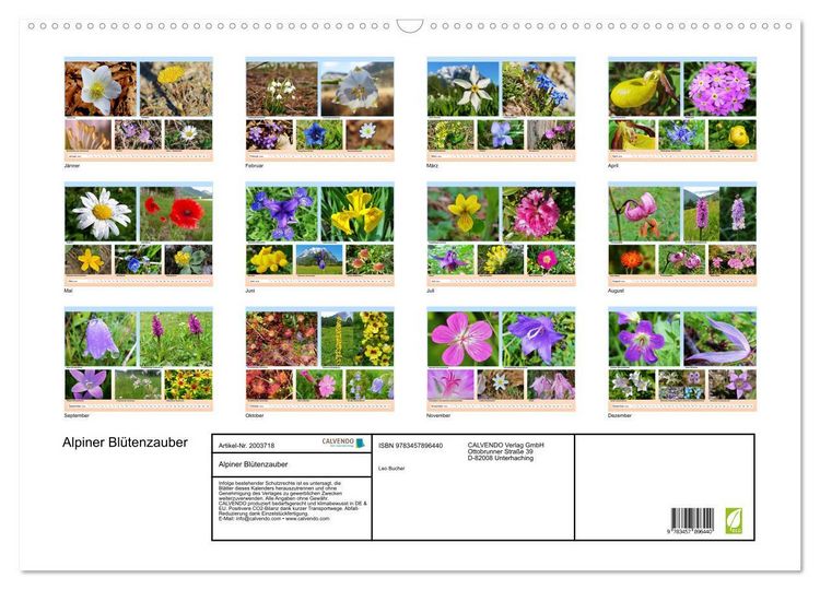 Produktbild: Alpiner Bl&uuml;tenzauber (Wandkalender 2026 DIN A2 quer), CALVENDO Monatskalender