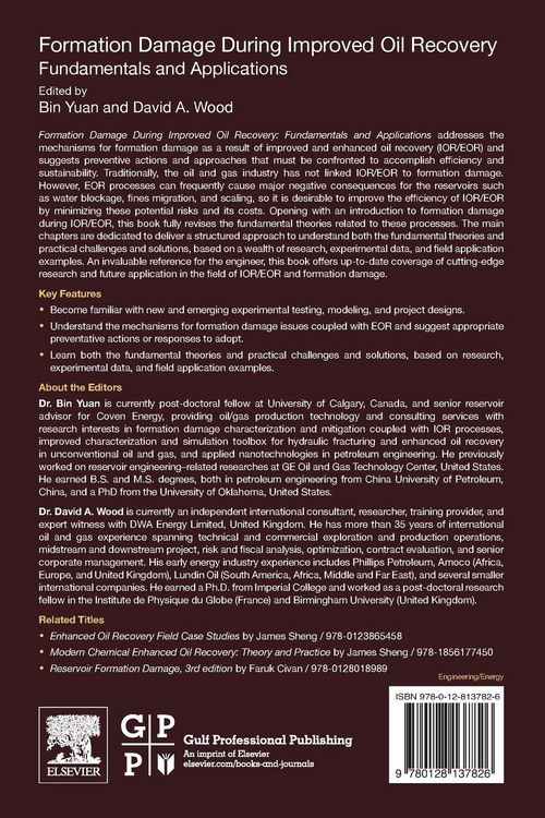 Produktbild: Formation Damage during Improved Oil Recovery