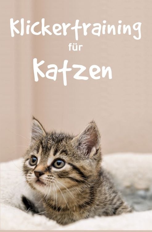 Produktbild: Klickertraining f&uuml;r Katzen
