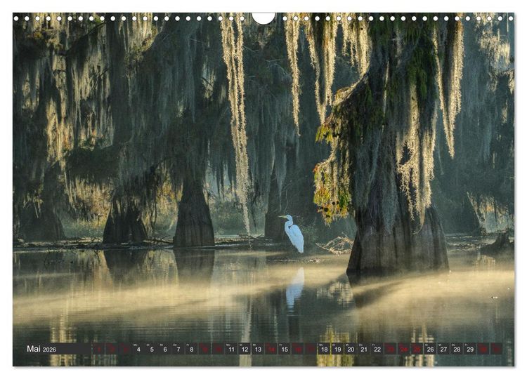 Produktbild: Natur Paradies Mississippi Delta (Wandkalender 2026 DIN A3 quer), CALVENDO Monatskalender