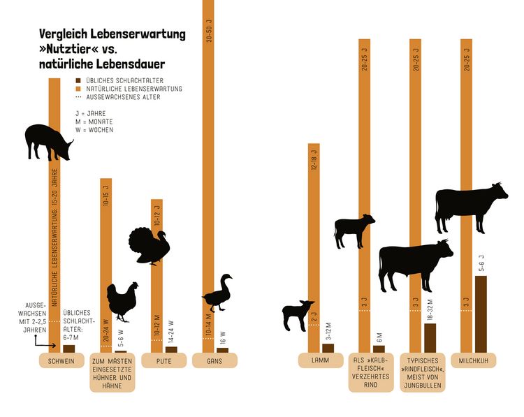 Produktbild: Tiere wollen leben!