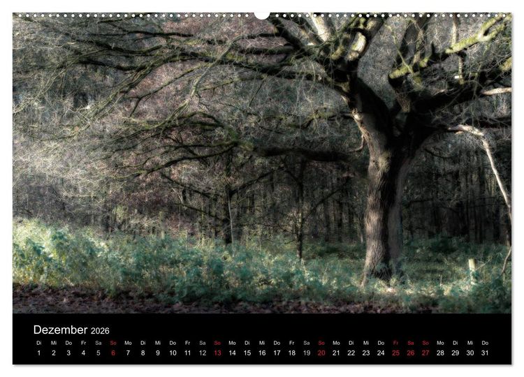 Produktbild: Mystische W&auml;lder (hochwertiger Premium Wandkalender 2026 DIN A2 quer), Kunstdruck in Hochglanz