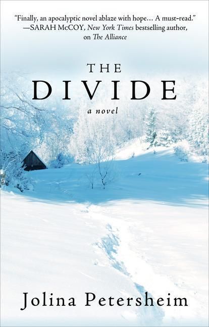 Produktbild: Divide -Lp