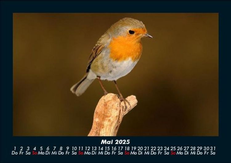 Produktbild: Bilder aus der Natur 2025 Fotokalender DIN A5