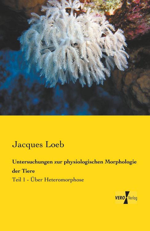 Produktbild: Untersuchungen zur physiologischen Morphologie der Tiere