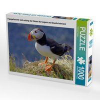 Produktbild: CALVENDO Puzzle Papageitaucher sind entlang der K&uuml;sten Norwegens und Islands heimisch | 1000 Teile Lege-Gr&ouml;&szlig;e 64x48cm Foto-Puzzle f&uuml;r gl&uuml;ckliche Stund