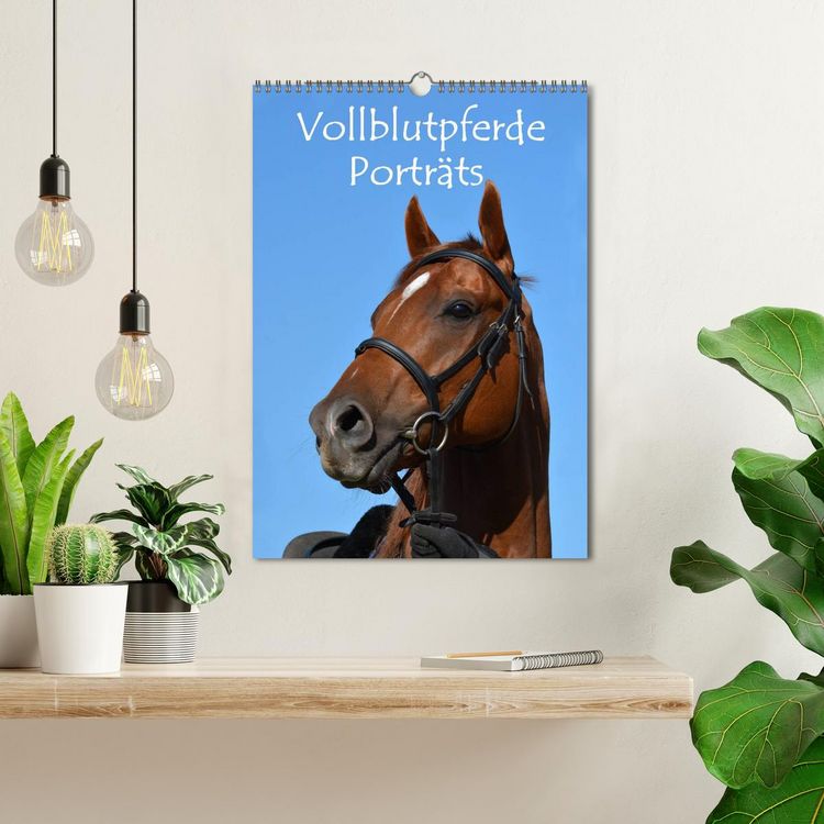 Produktbild: Vollblutpferde Portr&auml;ts (Wandkalender 2026 DIN A3 hoch), CALVENDO Monatskalender