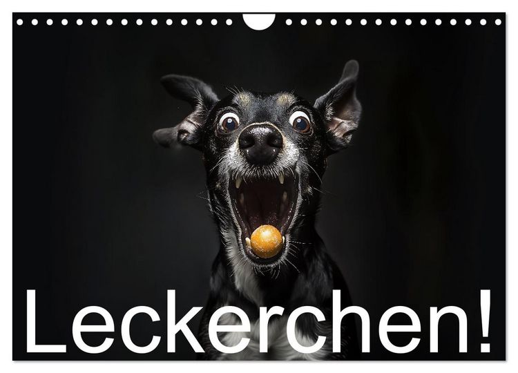 Produktbild: Leckerchen! (Wandkalender 2026 DIN A4 quer), CALVENDO Monatskalender