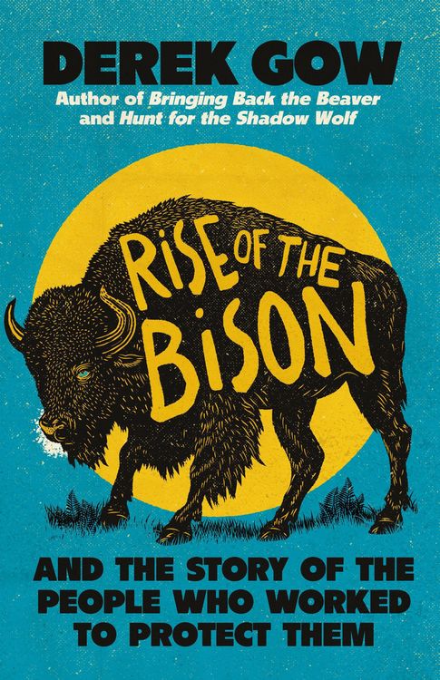 Produktbild: Rise of the Bison