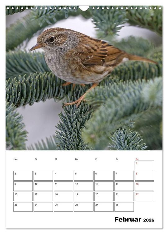 Produktbild: Bezaubernde V&ouml;gel im heimischen Garten (Wandkalender 2026 DIN A3 hoch), CALVENDO Monatskalender