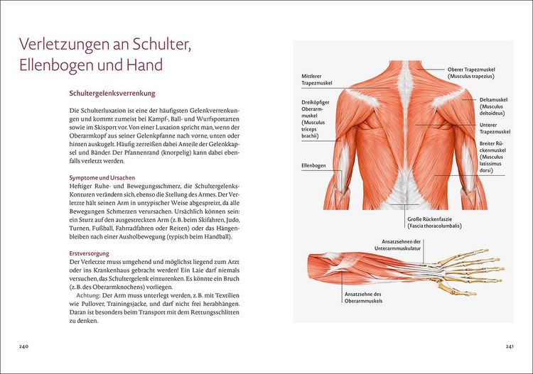 Produktbild: Bewegung