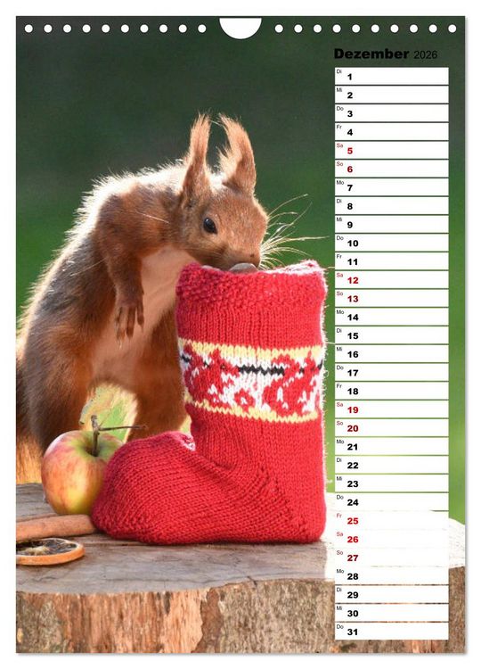 Produktbild: Eichh&ouml;rnchen - kleine Tiere, gro&szlig;e Liebe (Wandkalender 2026 DIN A4 hoch), CALVENDO Monatskalender