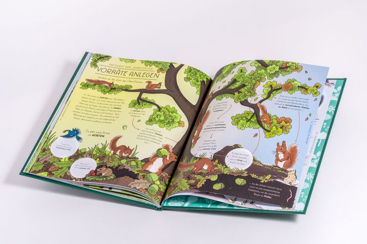 Produktbild: Der Natur-Erkl&auml;rer