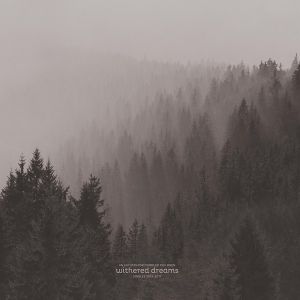 Produktbild: Withered Dreams: Singles 2013-2017