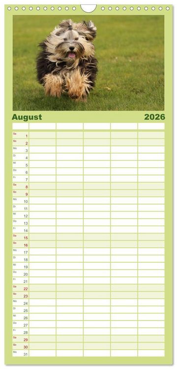 Produktbild: Familienplaner 2026 - Havaneser - Wirbelwinde aus Kuba mit 5 Spalten (Wandkalender, 21 x 45 cm) CALVENDO