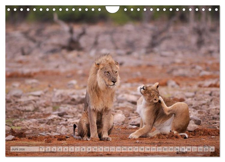 Produktbild: NAMIBIA Christian Heeb (Wandkalender 2026 DIN A4 quer), CALVENDO Monatskalender