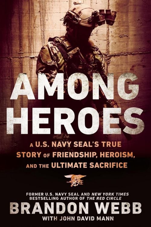 Produktbild: Among Heroes