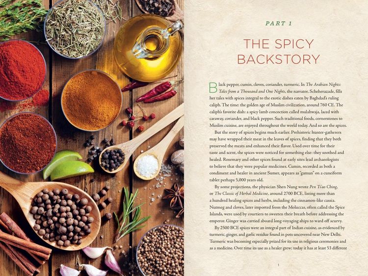 Produktbild: Healing Spices Handbook
