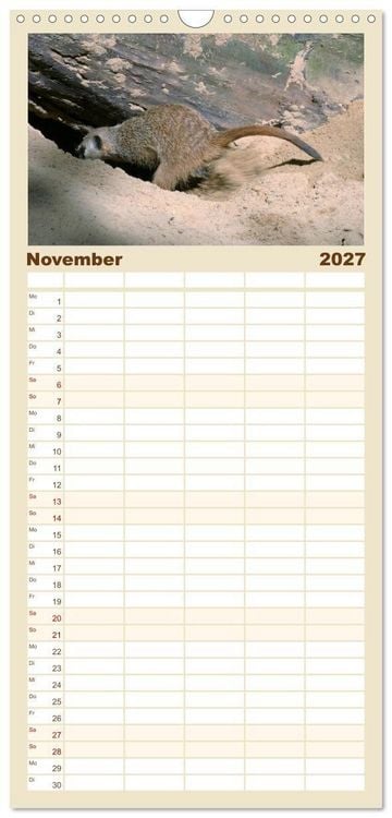 Produktbild: Familienplaner 2027 - Erdm&auml;nnchen mit 5 Spalten (Wandkalender, 21 x 45 cm) CALVENDO