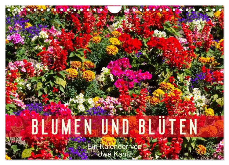 Produktbild: Blumen und Bl&uuml;ten (Wandkalender 2026 DIN A4 quer), CALVENDO Monatskalender