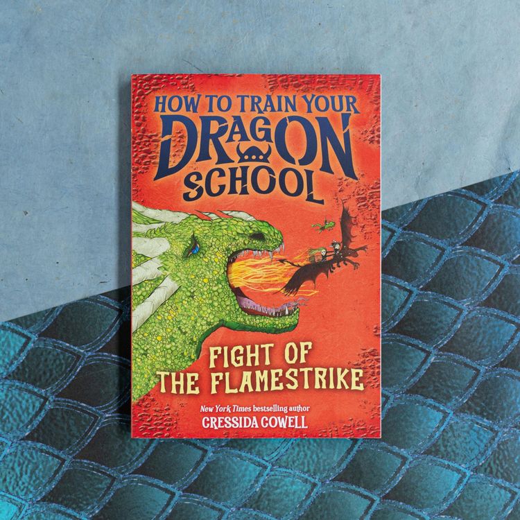 Produktbild: How to Train Your Dragon School: Fight of the Flamestrike