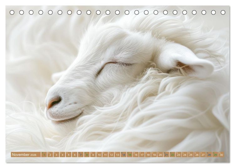 Produktbild: Tierische Tr&auml;umer - Sanft ruhend (Tischkalender 2026 DIN A5 quer), CALVENDO Monatskalender
