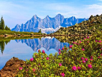 Produktbild: CALVENDO Puzzle Almrauschbl&uuml;te am Spiegelsee auf der Reiteralm | 1000 Teile Lege-Gr&ouml;&szlig;e 64x48cm Foto-Puzzle f&uuml;r gl&uuml;ckliche Stunden