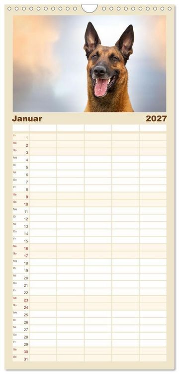 Produktbild: Familienplaner 2027 - Mit dem Malinois durch das Jahr mit 5 Spalten (Wandkalender, 21 x 45 cm) CALVENDO