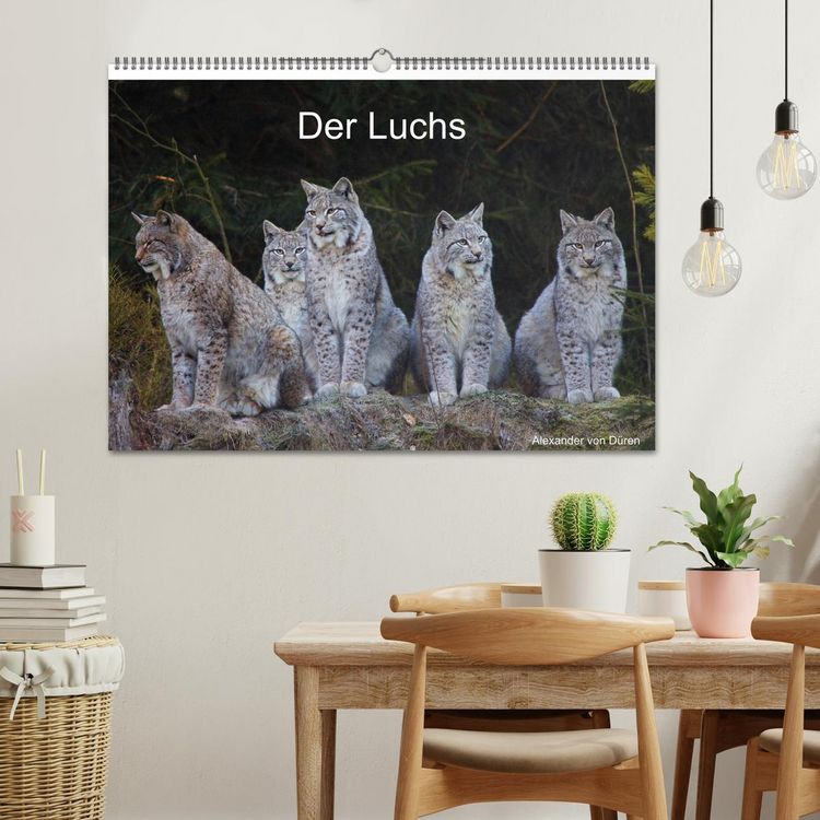 Produktbild: Der Luchs (Wandkalender 2026 DIN A2 quer), CALVENDO Monatskalender
