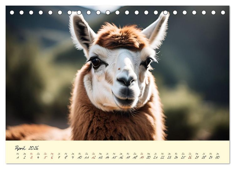 Produktbild: Alpakas, die sanften Andenbewohner (Tischkalender 2026 DIN A5 quer), CALVENDO Monatskalender
