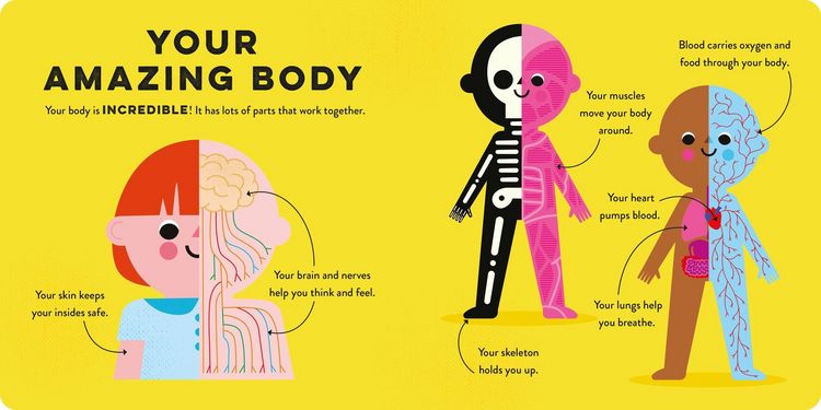 Produktbild: Whiz Kids: Human Body