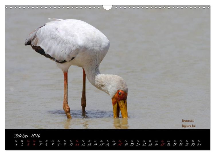 Produktbild: Faszination Afrika - wilde Tiere der Masai Mara - Kenia (Wandkalender 2026 DIN A3 quer), CALVENDO Monatskalender
