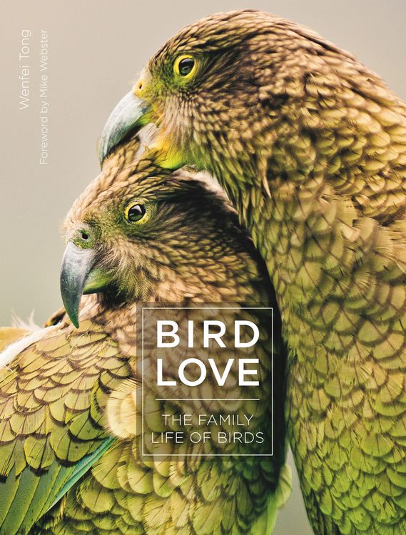 Produktbild: Bird Love