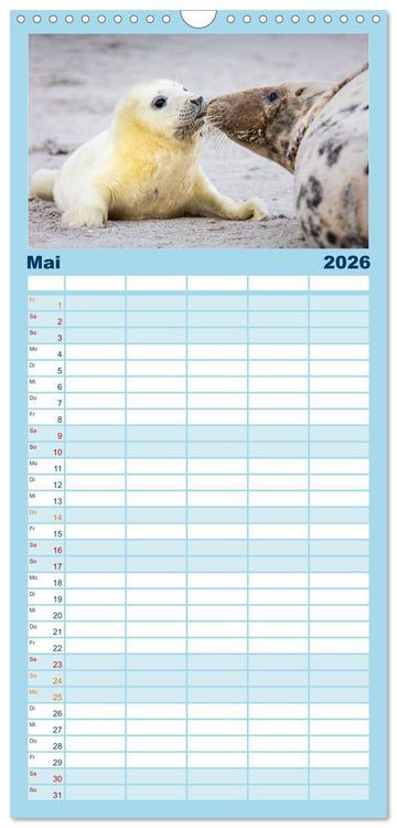 Produktbild: Familienplaner 2026 - Junge Kegelrobben mit 5 Spalten (Wandkalender, 21 x 45 cm) CALVENDO