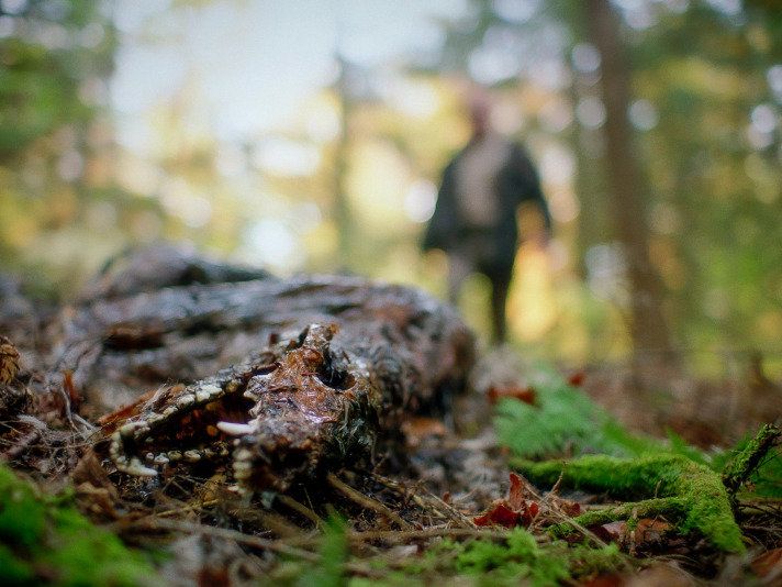 Produktbild: In a Violent Nature