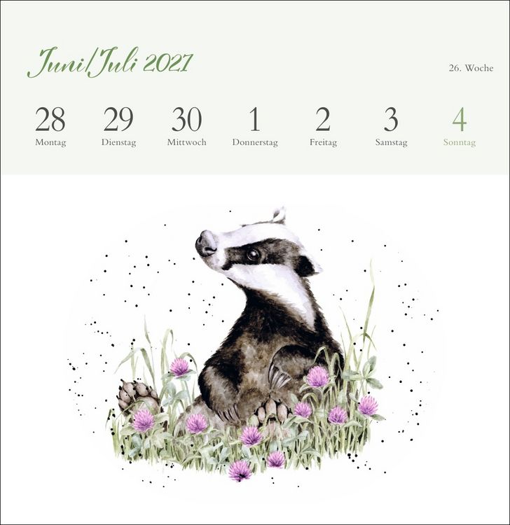 Produktbild: Hannah Dale: Happy Animals Premium-Postkartenkalender 2027