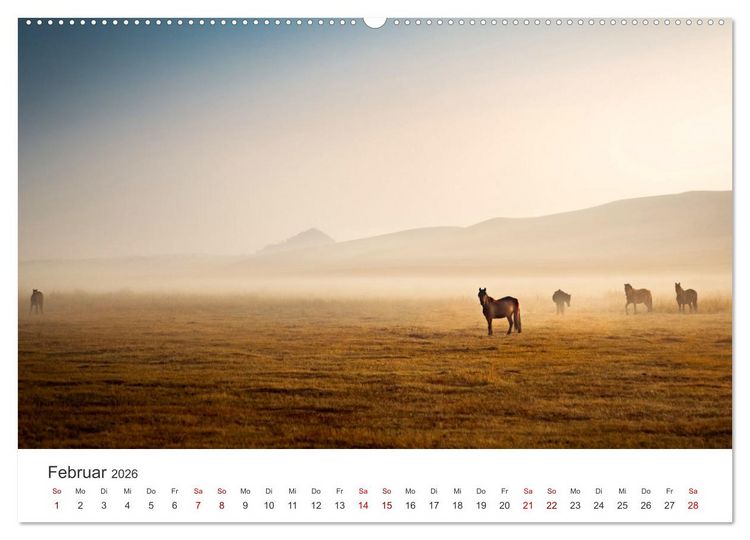 Produktbild: Freiheitsliebende Wildpferde (Wandkalender 2026 DIN A2 quer), CALVENDO Monatskalender