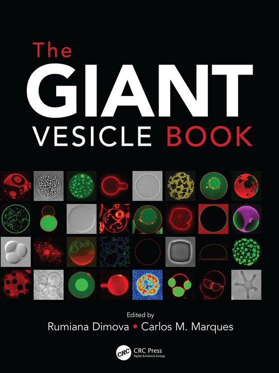 Produktbild: The Giant Vesicle Book